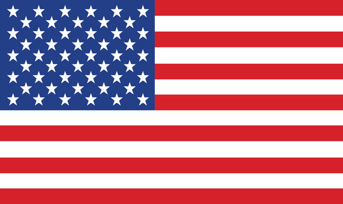 Flag Icon